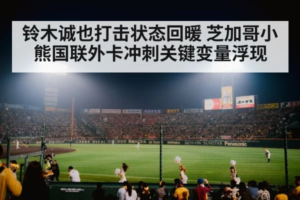 baseball stadium night game
